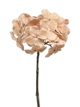 93157-7.jpg