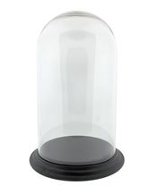 Dome.jpg