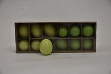 Doos Kippeneieren Groen Mix - 12 Stuks