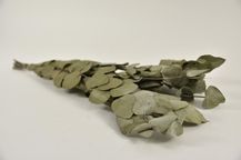 31072020.jpg