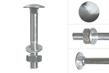 Carriage bolts Galvanized m8 x 55 mm