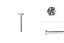 Sechskantschrauben verzinkt M10 x 60 mm - Pro Stück (1)