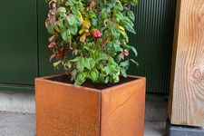 cortenstaal-vierkante-plantenbak-Nandina-fire-power.jpg