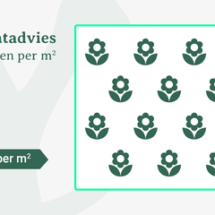 6 tot 19 planten per m2