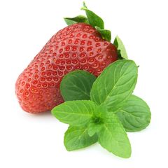 Aardbeimunt - Mentha Arvensis 'Strawberry'(aardbei 