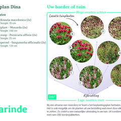 Beplantingsplan borderpakket Dina