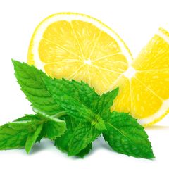 Citroenmunt - citroen en munt