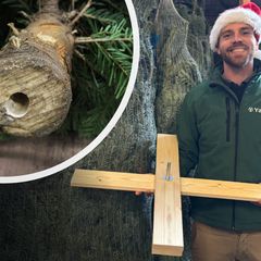 Easyfix Weihnachtsbaumsockel aus Holz