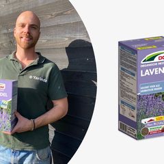 Organische Meststof voor Lavendel planten