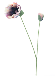 13588-6.png