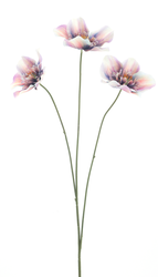 72077-6.png