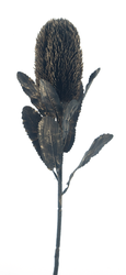 72092-8.png