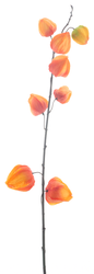 97151-5.png