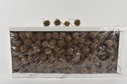 G2696752.jpg