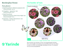beplantingsplan borderpakket Fenne tuinplanten
