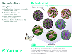 Beplantingsplan borderpakket Fenne tuinplanten