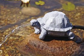 Oase Spuitfiguur schildpad