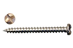 Anti-inbraakschroef / 4.0x40 mm / staal verzinkt | 12 stuks