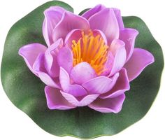 Velda Drijvende Vijverplant Lotus Roze 10 cm