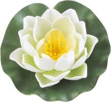 Velda Drijvende Vijverplant Lotus Wit 10 cm