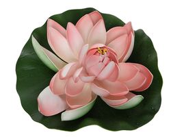 Drijvende Bloem Lotus Roze