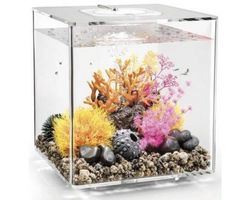 Aquarium biOrb Cube 60 LED Transparant