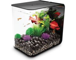 Aquarium biOrb Flow LED 15 Liter Zwart