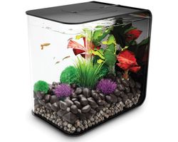 Aquarium biOrb Flow LED 30 Liter Zwart
