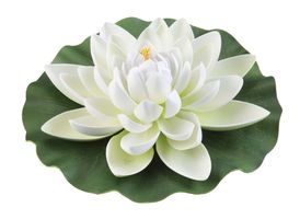Velda Drijvende Vijverplant Lotus Wit 28 cm