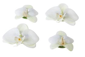 Velda Drijvende Vijverplant Orchidee Wit 7/9 cm - 4 Stuks