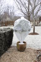 Schutzvlies - Frostschutz für Planzen Weiß 100 x 1000 cm - Pro Stück