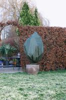 Beschermhoes Planten met Koord Groen Ø75 x 150 cm - Set 2 Stuks