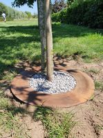 Bordadura para árvores em aço corten - 50 cm