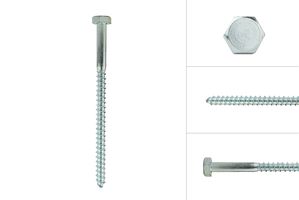 Coach screws Galvanized M10 x 160 mm - Per 10 pieces