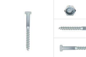 Houtdraadbouten Verzinkt M6 x 55 mm - Per 10 Stuks