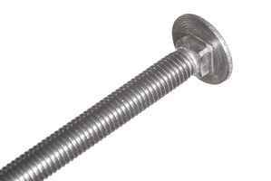 Carriage bolts stainless steel M10 x 30 mm - 10 pieces