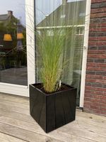 Plantenbak Zwart Verzinkt Staal 50 x 50 x 50 cm - Bloembak