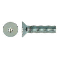 Inbusbouten Verzinkt M6 x 30 mm met Verzonken kop - 500 stuks