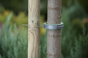 Baumband mit Schaumschicht für empfindliche Bäume 2 Stück - pro Set
