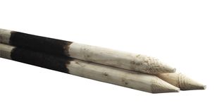 Boompaal 7,5 x 160 cm