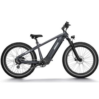 Himiway Zebra 640-min.jpg