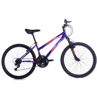 Huffy-Stone-Mountain-21-Speed-MTB-24-inch-Paars-640-min.png