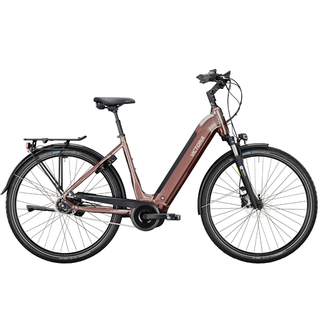 Victoria-Elektrische-Trekkingfiets-Tresalo-13-Mod.-24-28-inch-Bornit-Copper-640-min.png
