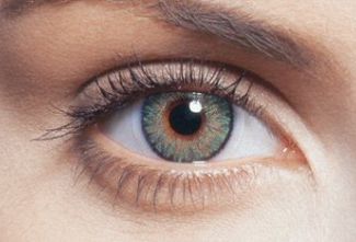 FreshLook Colorblends One-Day GREEN [10 paar L+R]
