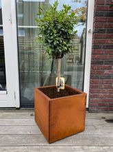 Plantenbak Kubus Cortenstaal 60x60x60 cm Wovar - Tijdelijk uitverkocht