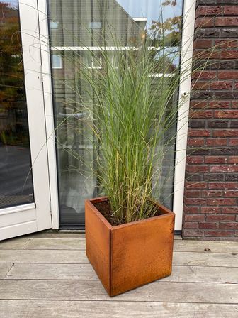 https://cdn.zilvercms.nl/http://yarinde.zilvercdn.nl/Plantenbak Kubus Cortenstaal 40x40x40 cm Wovar