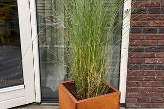 https://cdn.zilvercms.nl/http://yarinde.zilvercdn.nl/Plantenbak Würfel Cortenstahl 40x40x40 cm Wovar