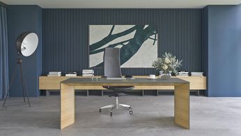 Executive sit-stand desk 5.jpg