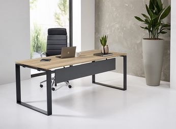 Directiebureau-Deluxe-sfeer-bureau.jpg