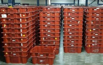 Magazijnbakken, Kunststofbak, Nestbare Distributiekist